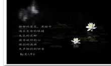 生命的脆弱经典语录