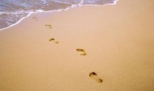 形容在海边开心的句子