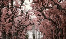 关于励志的8字名言 8字人生名言