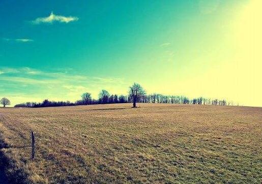   鼓励业务成功的词汇  1