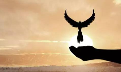 “一千英里的堤防被蚁洞破坏了”