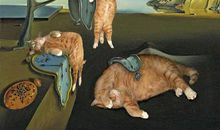 现实到让人心死的句子