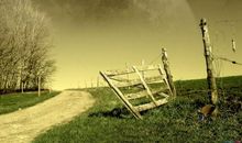 表达对老公已彻底失望的句子