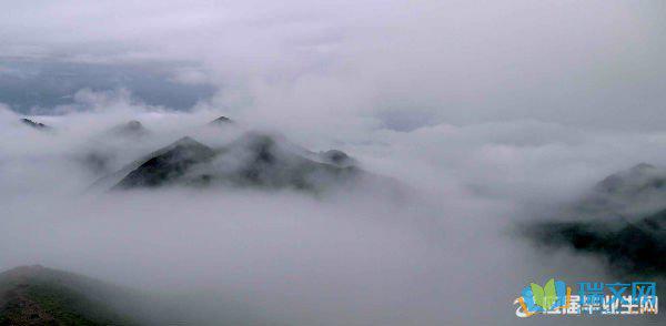 雾有如此神奇的力量