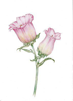 如果您遇到麻烦