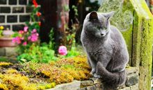 人生感悟的诗句