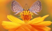 五月你好正能量励志朋友圈说说