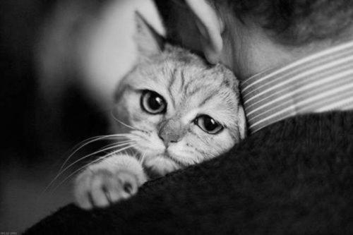 请享受编辑提出的关于不满的感受