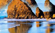 2020正能量奋斗的句子简短