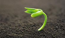 对生活充满希望的阳光句子