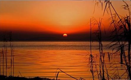 感性生活经典句子的最新版本     1