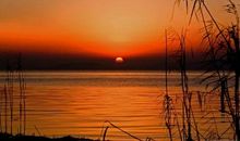 感悟人生的经典句子最新版