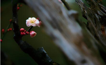    海涛大师关于爱情的禅句20   1