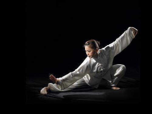 以下是与武术有关的座右铭