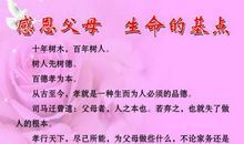 关于感恩父母的名言