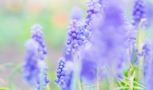 励志开心的句子