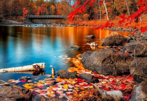   篇一 幸福是伴随人们一生的追求