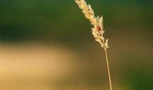 2020年早安寄语正能量