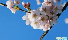 描写冬天景色短句 形容冬天大雪纷飞的句子