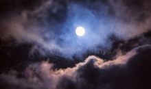 形容你对一个人很失望的句子