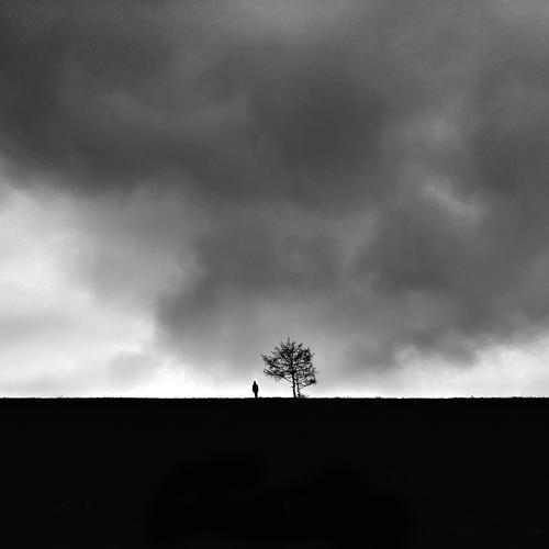 据说父母希望对成龙表示希望