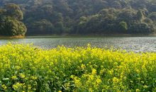 最新微信励志说说2020