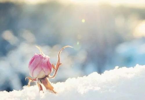 以下是每个人汇编的一句话