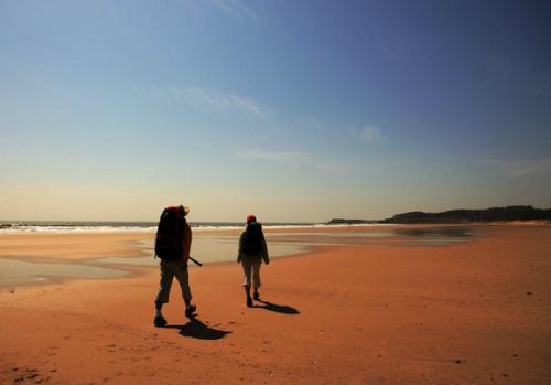 离开这个狡猾的世界