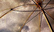 对某件事情很失望的句子