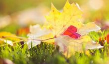 唯美幸福的经典语句精选