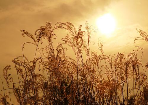 真理与美是一体