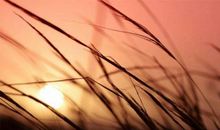 对人感情失望的句子说说心情短语