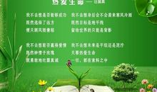 关于生命的人生格言