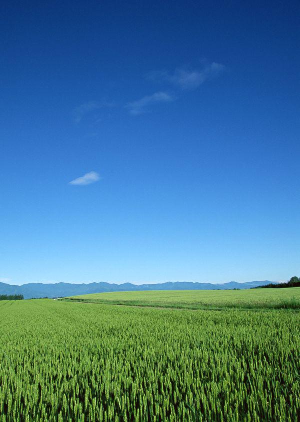 而是因为我在你面前