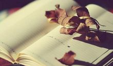 最新的思念句子