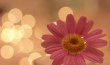 关于智慧的禅语20句