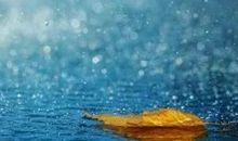 对朋友太好失望的句子