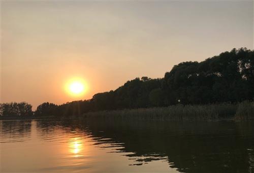 只有当我有了自己的孩子后