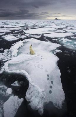 总会有片刻失望的时刻