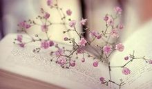 夸女朋友的个性句子