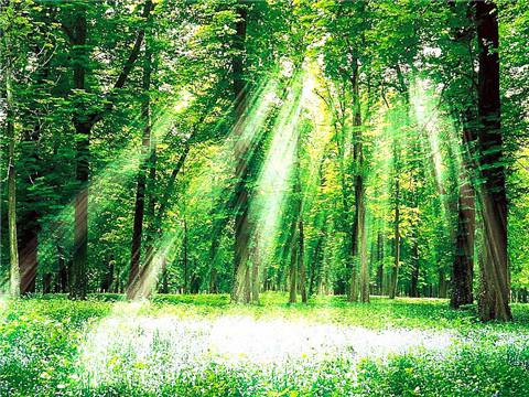 我坐在月亮所在的石阶上