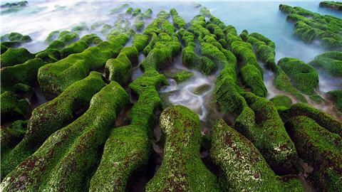 思考着长长的莲花节奏