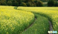 朋友圈正能量激励语 发微信朋友圈励志句子