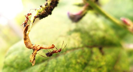 以下游戏的经典句子