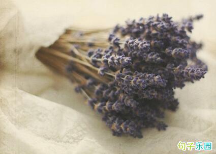 过多的千帆不是我心中的爱