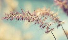 惊艳五千年的古风诗词精选