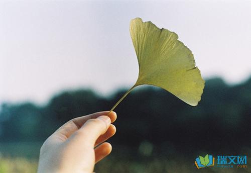 以下是大家汇编的漂亮句子供您参考