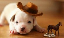 关于亲情的励志句子英文句子