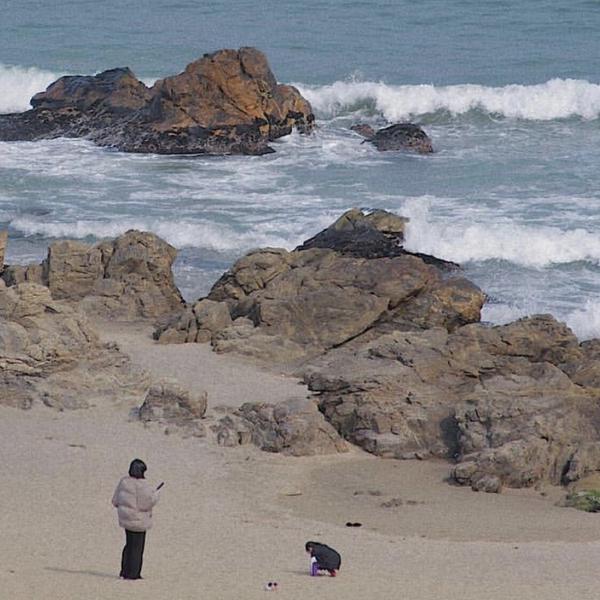 小编收集了一些关于海边的快乐句子