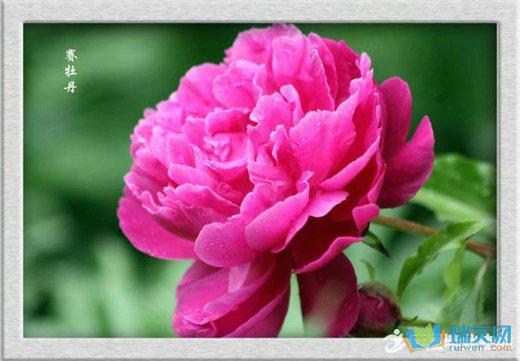 世界上的任何事物